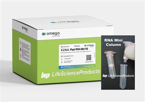 omega ezna extraction kit